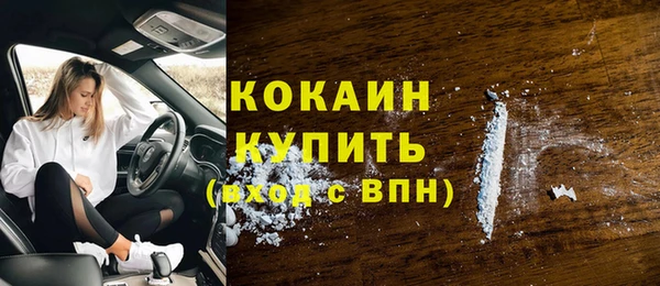 дмт Мегион