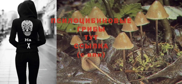 дмт Мегион